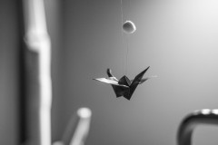 Monochrome image of a paper bird hangs suspended on two thing threads