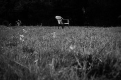 Monochrome image of a sunlit, plastic chair in the center of the image, on a flowery meadow, with a black background